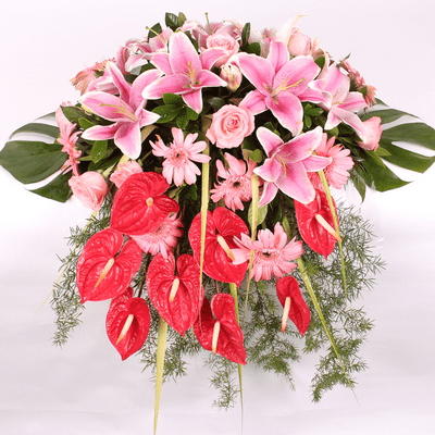 百合台面花-红掌百合台面花多少钱-红掌百合台面花寓意-麻辣烫鲜花网