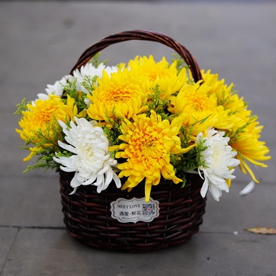 19枝黄白菊花手提篮-19枝黄白菊花手提篮多少钱-19枝黄白菊花手提篮